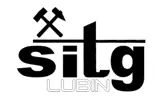Logo i link do strony SITG